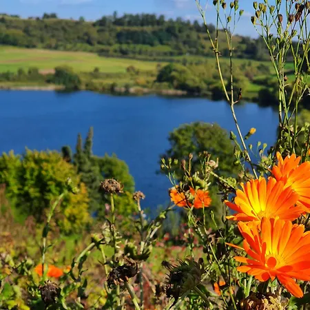 Dom wakacyjny Traumhaus Am Maar 3 *