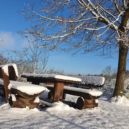 Feriehus Traumhaus Am Maar 3 *