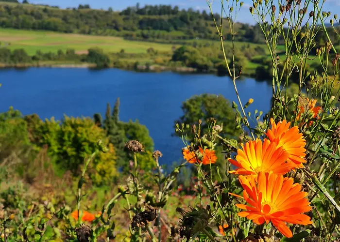 Casa de Férias Traumhaus Am Maar 3 *